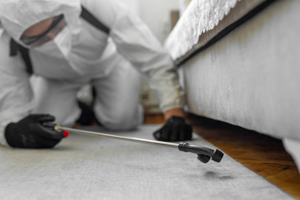 Professional Bed Bug Control technician working in Yorktown, IN