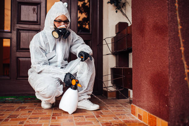 Reliable Bed Bug Control contractor in Yorktown, IN by Nex Pest Control