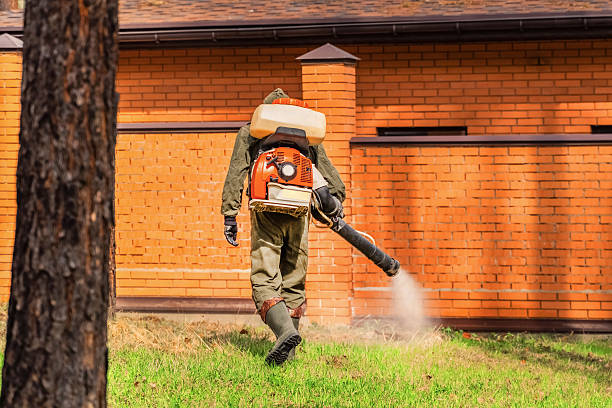 Trusted Cockroach Control service in Yorktown, IN - Nex Pest Control